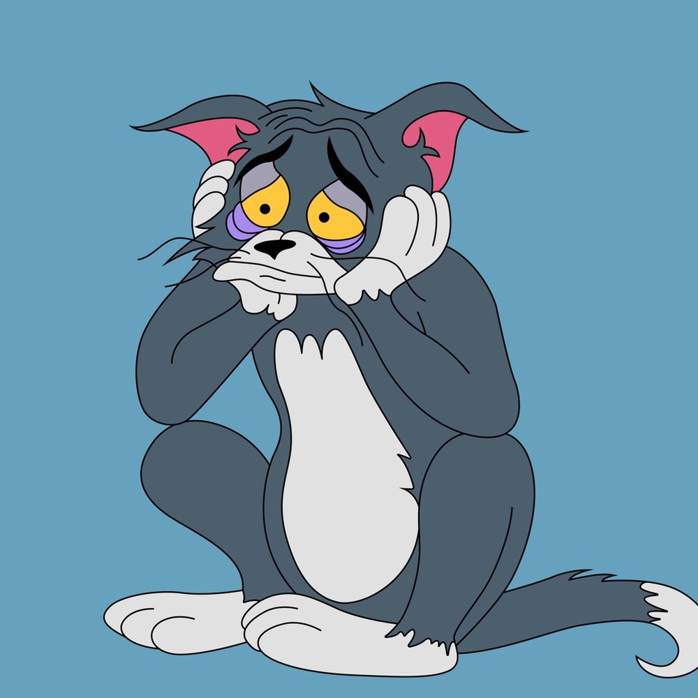 Meet your Posher, Jazzy